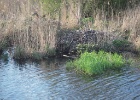 Picture 039